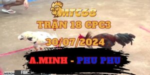 Video Đá Gà Thomo Trận 18 CPC3 30/07/2024 Phu Phu Vs Anh Minh