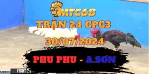 Video Đá Gà Thomo Trận 24 CPC3 30072024 Phu Phu Và Anh Sơn